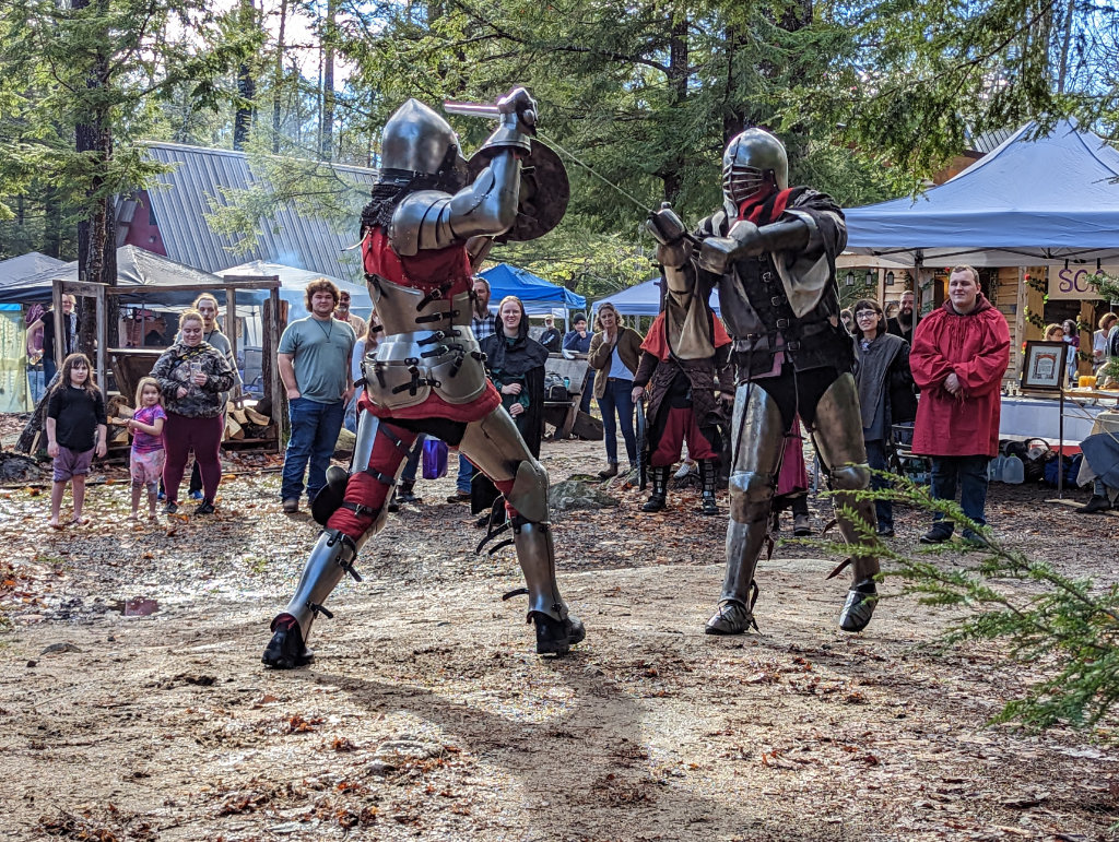Medieval sword fighting demonstration